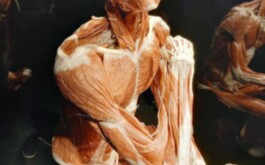 t3jj4lc0u3_____WhatsApp Image 2026-01-14 at 15.57.38 (1)