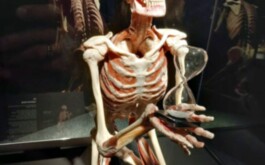 t3jj4lc0u3_____WhatsApp Image 2026-01-14 at 15.57.38 (1)