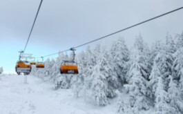 39tlwaxwtk_____20260104_165346