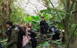 5wzzqfywx8_____WhatsApp Image 2026-02-17 at 06.38.32