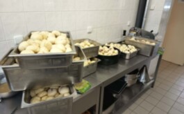 gw7pwpvv2e_____aaa957a6-f97d-476b-a1b2-e10470219473