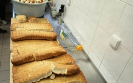 gw7pwpvv2e_____aaa957a6-f97d-476b-a1b2-e10470219473