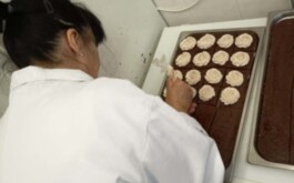 gw7pwpvv2e_____aaa957a6-f97d-476b-a1b2-e10470219473