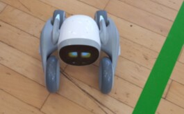 tdqhzc65kd_____IMG-20260226-WA0028