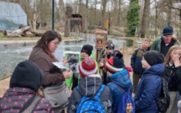 zfgea43kts_____WhatsApp Image 2026-03-16 at 17.39.07 (5)