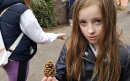 zfgea43kts_____WhatsApp Image 2026-03-16 at 17.39.07 (5)