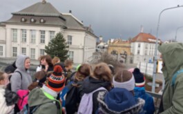 zfgea43kts_____WhatsApp Image 2026-03-16 at 17.39.07 (5)