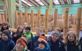 zfgea43kts_____WhatsApp Image 2026-03-16 at 17.39.07 (5)