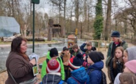 zfgea43kts_____WhatsApp Image 2026-03-16 at 17.39.07 (5)