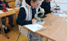 awp20d66pv_____WhatsApp Image 2026-04-09 at 15.42.21 (1)