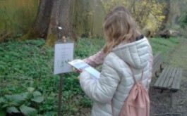 rfrug1go06_____WhatsApp Image 2026-04-20 at 12.15.30