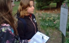 rfrug1go06_____WhatsApp Image 2026-04-20 at 12.15.30