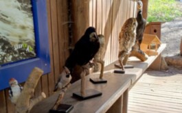 o2o71j9ug1_____WhatsApp Image 2026-04-23 at 18.20.05 (2)