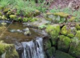 IMG-20260512-WA0009.jpg