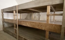 5m3txdzpti_____IMG_20260519_143911_1