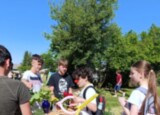 IMG_20260529_101052.jpg