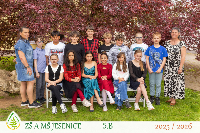 5B.jpg