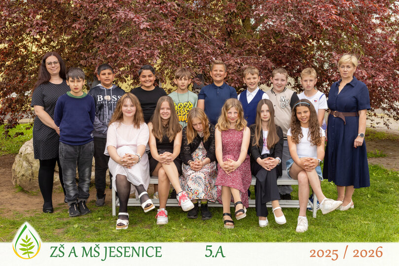 5A.jpg