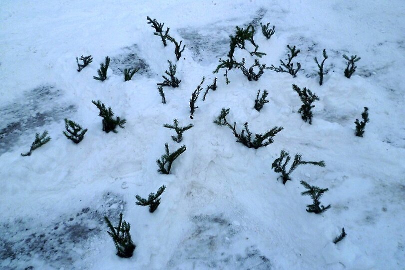 stavby-ze-snehu-8-trida-3-12-2010_6.jpg