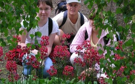 jarni-botanicka-soutez-rostliny-a-vcely-23-5-2007_5.jpg