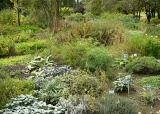 exkurze-5-a-5-b-a-6-tr-do-botanicke-zahrady-v-praze-9-10-2012_18.jpg