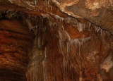 vylet-5-a-6-tr-konepruske-jeskyne-zlaty-kun-svaty-jan-pod-skalou-karlstejn-a-lom-amerika-4-6-2009_31.jpg