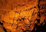 vylet-5-a-6-tr-konepruske-jeskyne-zlaty-kun-svaty-jan-pod-skalou-karlstejn-a-lom-amerika-4-6-2009_26.jpg