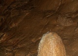 vylet-5-a-6-tr-konepruske-jeskyne-zlaty-kun-svaty-jan-pod-skalou-karlstejn-a-lom-amerika-4-6-2009_29.jpg