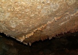 vylet-5-a-6-tr-konepruske-jeskyne-zlaty-kun-svaty-jan-pod-skalou-karlstejn-a-lom-amerika-4-6-2009_23.jpg