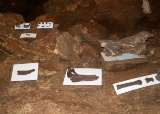 vylet-5-a-6-tr-konepruske-jeskyne-zlaty-kun-svaty-jan-pod-skalou-karlstejn-a-lom-amerika-4-6-2009_34.jpg
