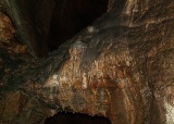 vylet-5-a-6-tr-konepruske-jeskyne-zlaty-kun-svaty-jan-pod-skalou-karlstejn-a-lom-amerika-4-6-2009_38.jpg