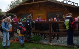yj5r7d1exn_exkurze-skolni-druziny-a-prvni-tridy-do-svickarny-v-sestajovicich-a-muzea-cokolady-21-10-2010_1