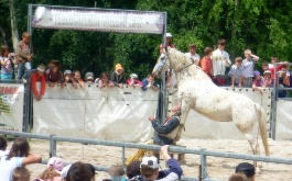 idz7a8ammh_vylet-3-a-a-skolni-druziny-halter-valley-21-6-2011_1