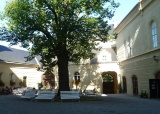 dejepisna-exkurze-8-tr-zamek-chyse-a-rabstejn-nad-strelou-15-9-2011_11.jpg
