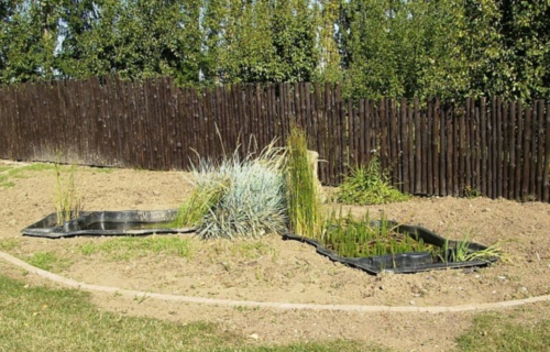 zif7ivy1gk_rekonstrukce-zahrady-srpen-2009_1