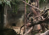 exkurze-do-zoo-praha-a-kina-imax-7-9-tr-16-10-2008_10.jpg