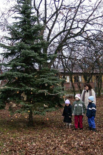 besidka-19-12-2005_4.jpg