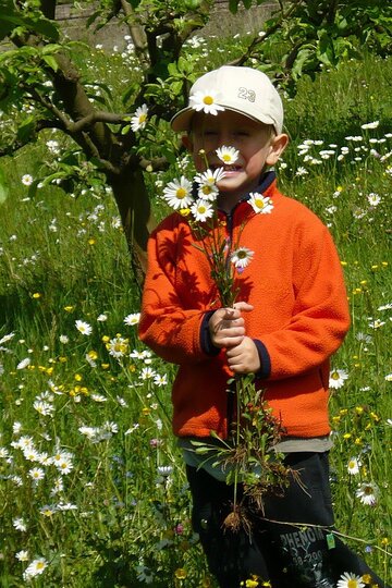 zahradni-slavnost-19-5-2009_11.jpg