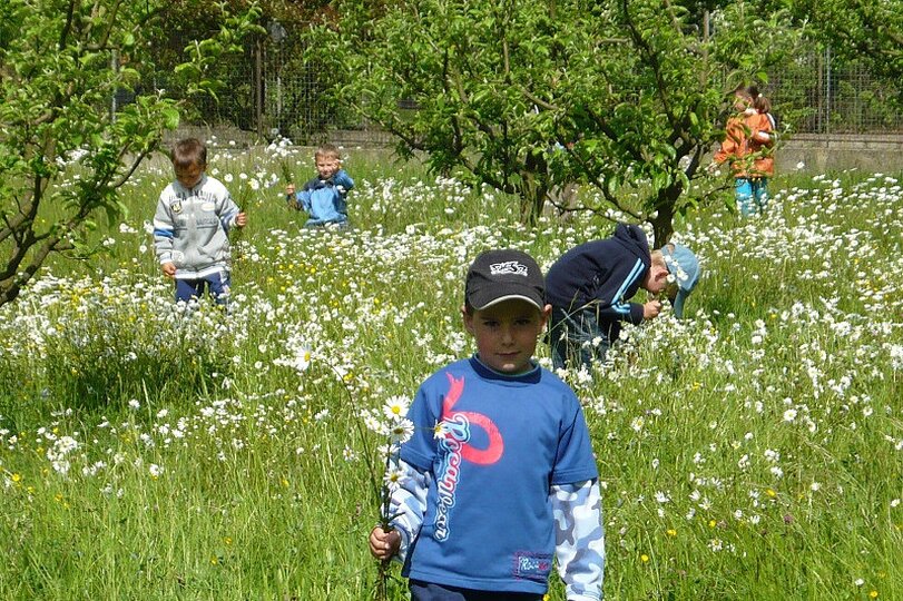zahradni-slavnost-19-5-2009_6.jpg