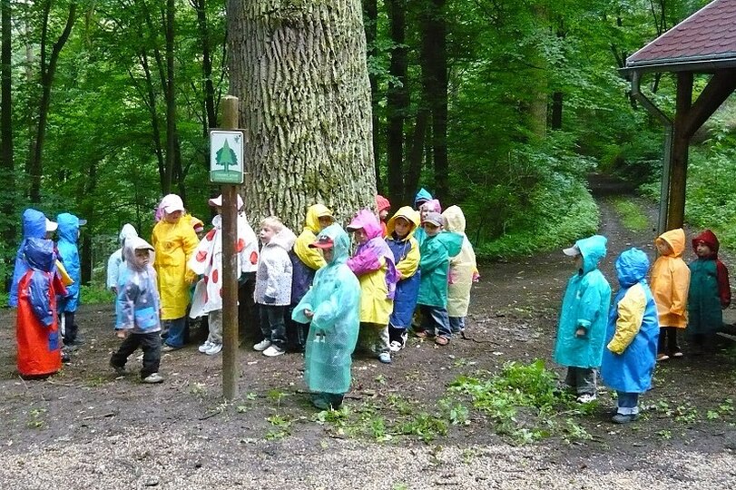 krivoklat-23-6-2009_1.jpg
