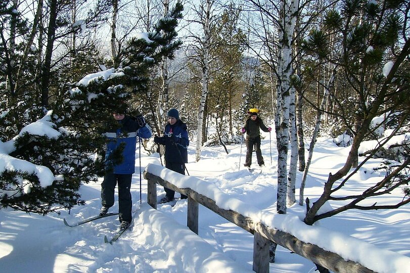 lyzarsky-vycvikovy-kurz-nove-hute-utery-16-2-2010_10.jpg