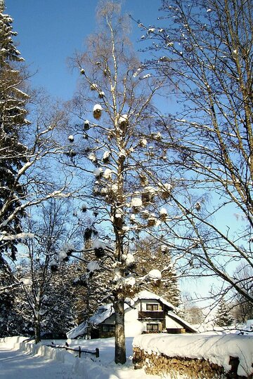 lyzarsky-vycvikovy-kurz-nove-hute-utery-16-2-2010_5.jpg