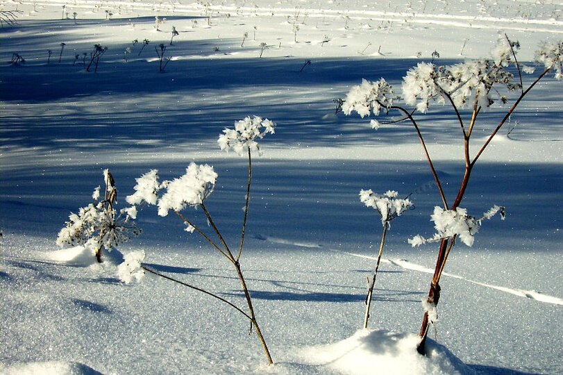 lyzarsky-vycvikovy-kurz-nove-hute-streda-17-2-2010_8.jpg