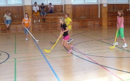 skolni-turnaj-ve-florbalu-27-6-2011_12.jpg