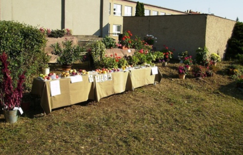 wlhpj5hrvo_den-otevrenych-dveri-skolni-zahrady-7-10-2009_1
