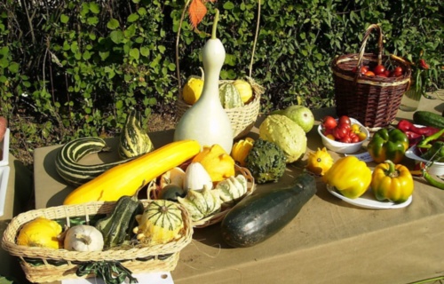wlhpj5hrvo_den-otevrenych-dveri-skolni-zahrady-7-10-2009_1