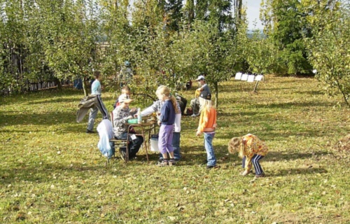 wlhpj5hrvo_den-otevrenych-dveri-skolni-zahrady-7-10-2009_1