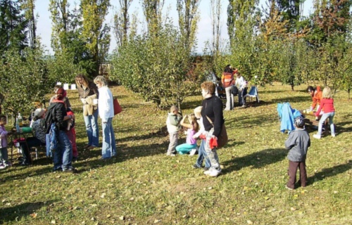 wlhpj5hrvo_den-otevrenych-dveri-skolni-zahrady-7-10-2009_1