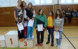 skolni-turnaj-ve-florbalu-20-12-2012_23.jpg
