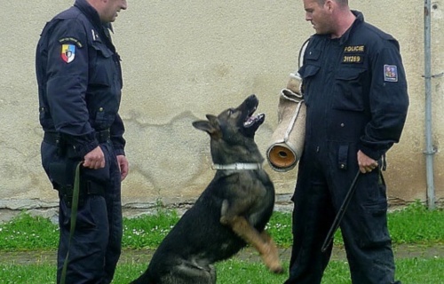 yjlse4l4nq_den-s-ajaxem-22-6-2011_1
